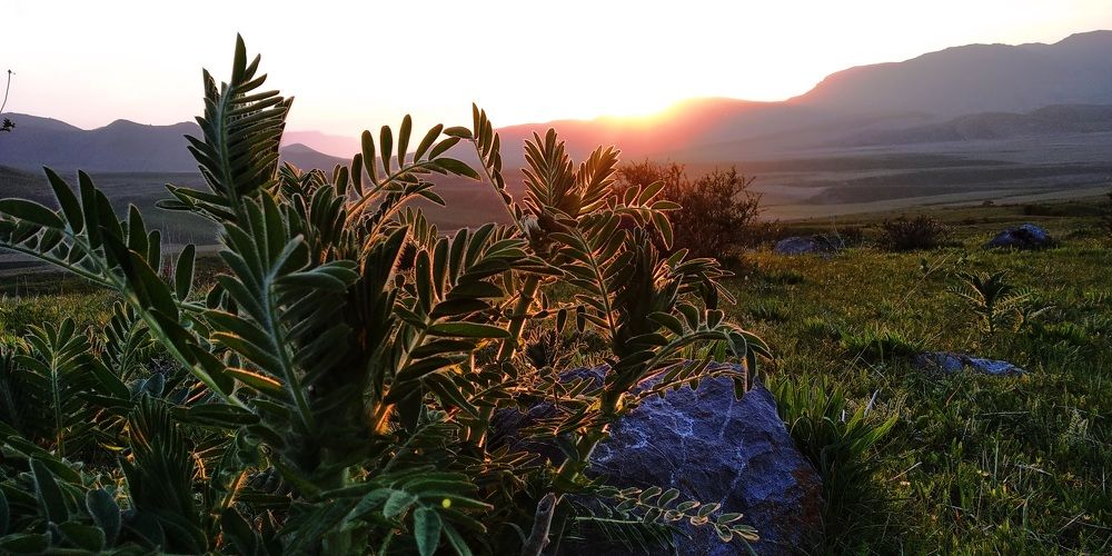 Photograph by Anetta Kopenkina