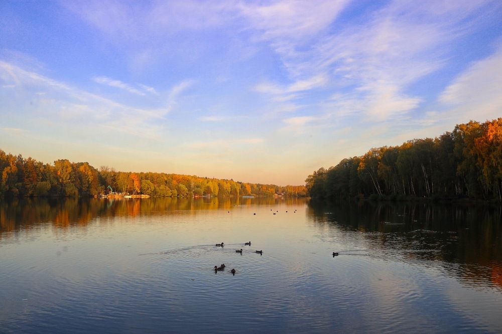 Photograph by Ольга