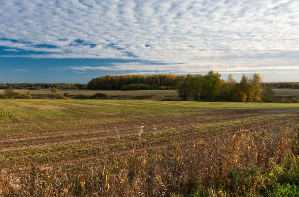 Photograph by Nikita Silyavin