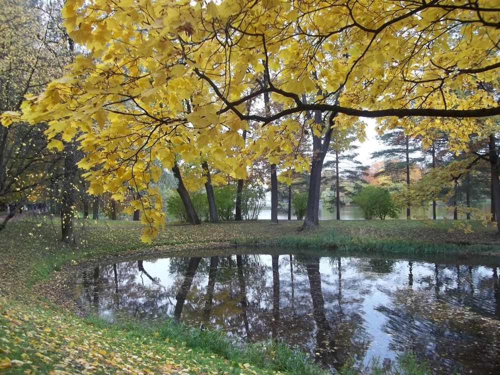 Photograph by Людмила