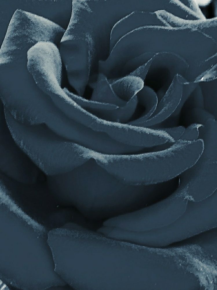 Photograph by Татьяна Дондо