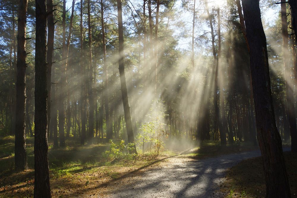 Photograph by Олег Чубайкин