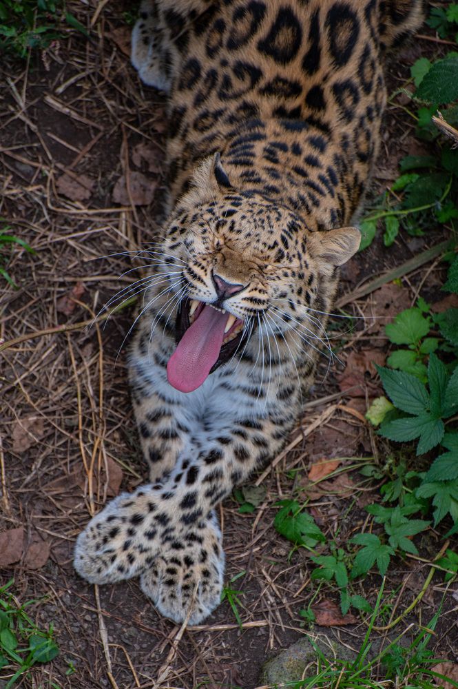 Photograph by Артем Щуковский