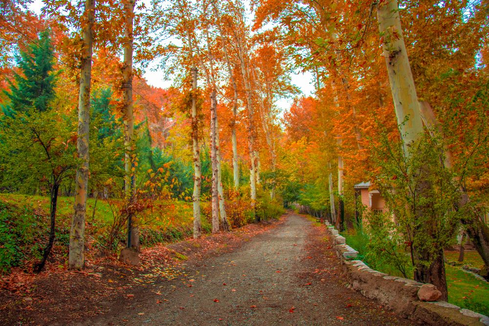 Photograph by shahram jafari