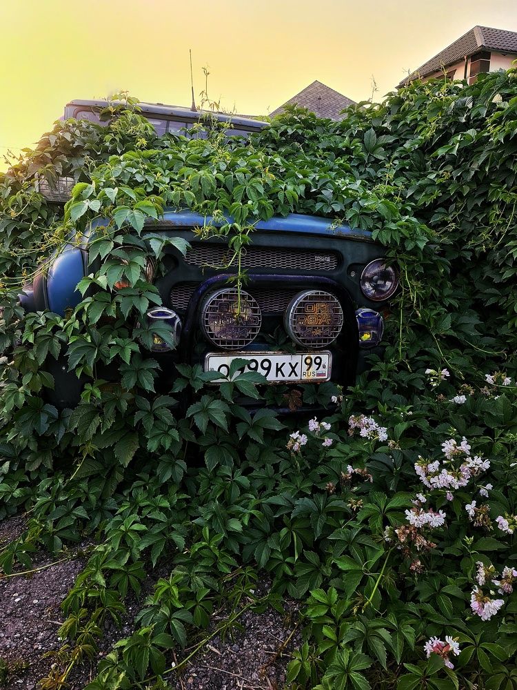 Photograph by Светлана Смирнова