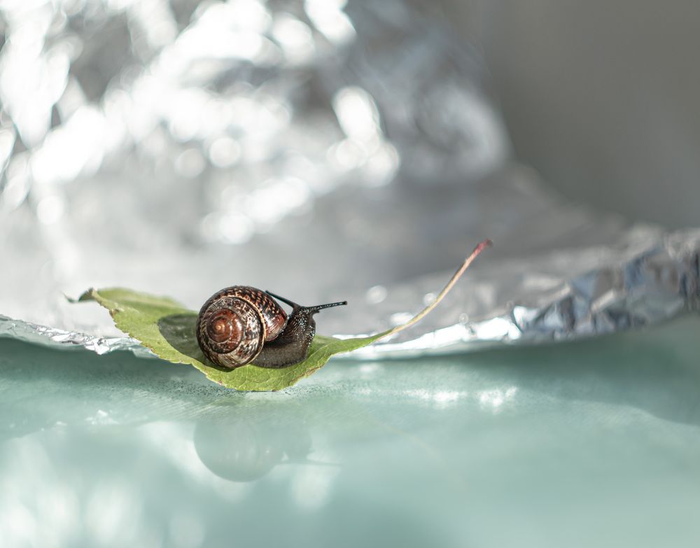 Photograph by Екатерина Климовцева