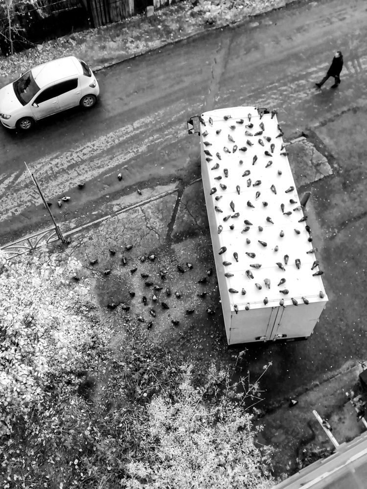 Photograph by Алексей Антонов