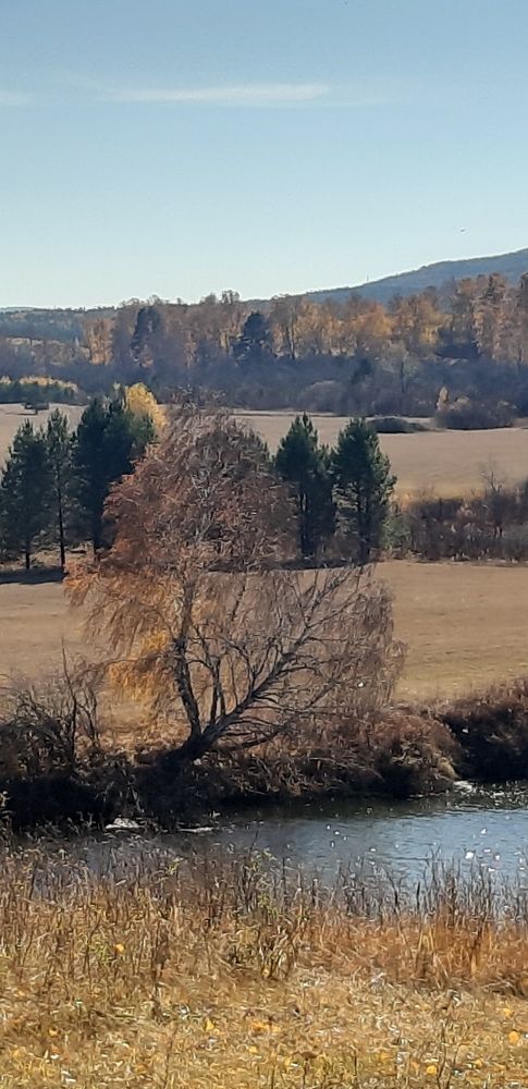 Photograph by Валентина Березина