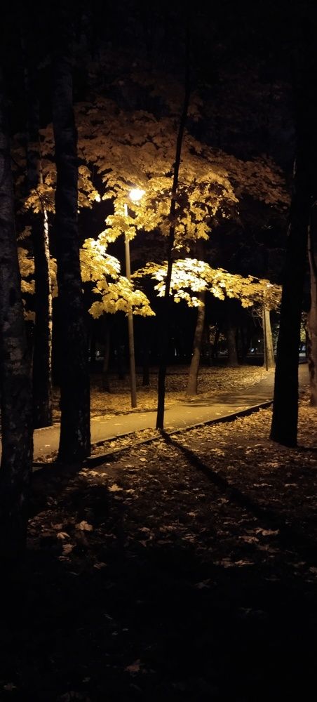Фотография автора Людмила Волкова