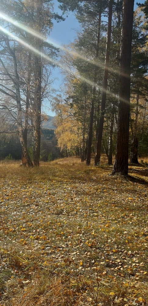 Photograph by Валентина Березина