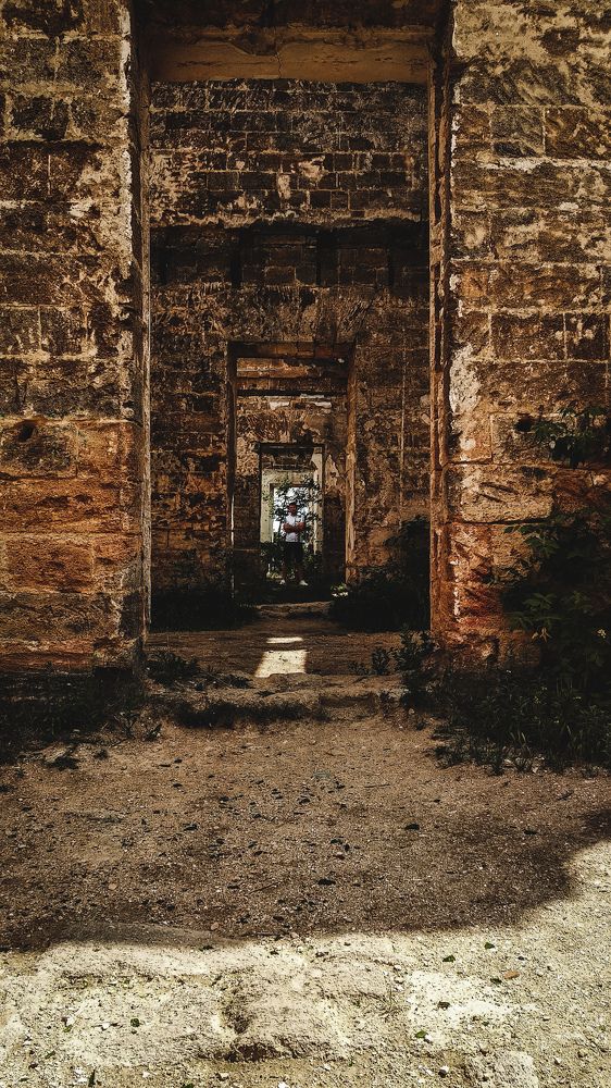 Волчье логово