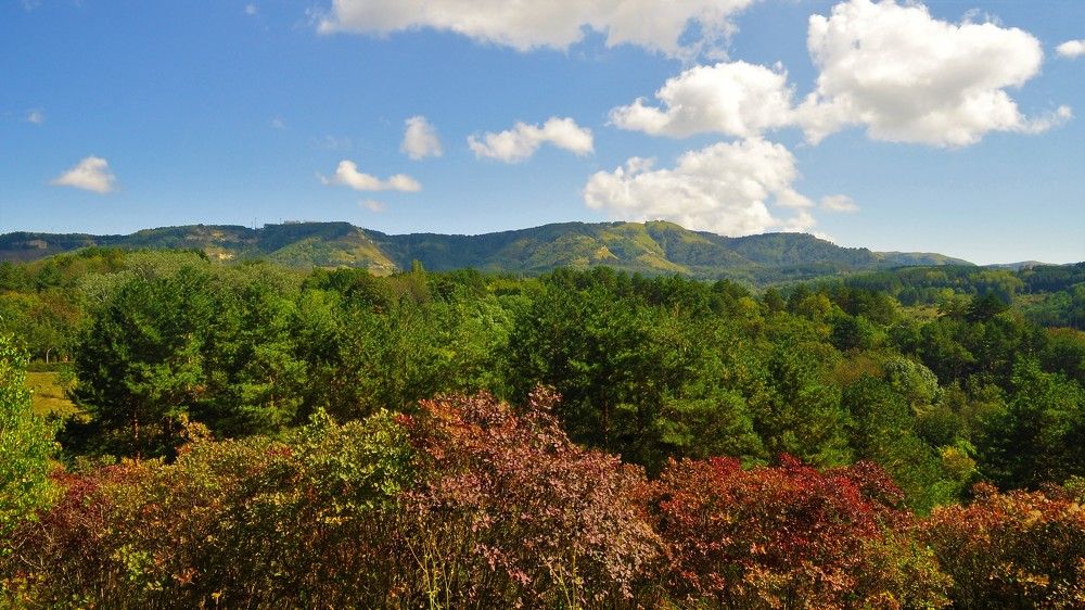 Photograph by Алекскандр Фатеев