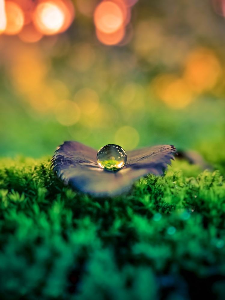 Photograph by Suraj Pritam Sahoo