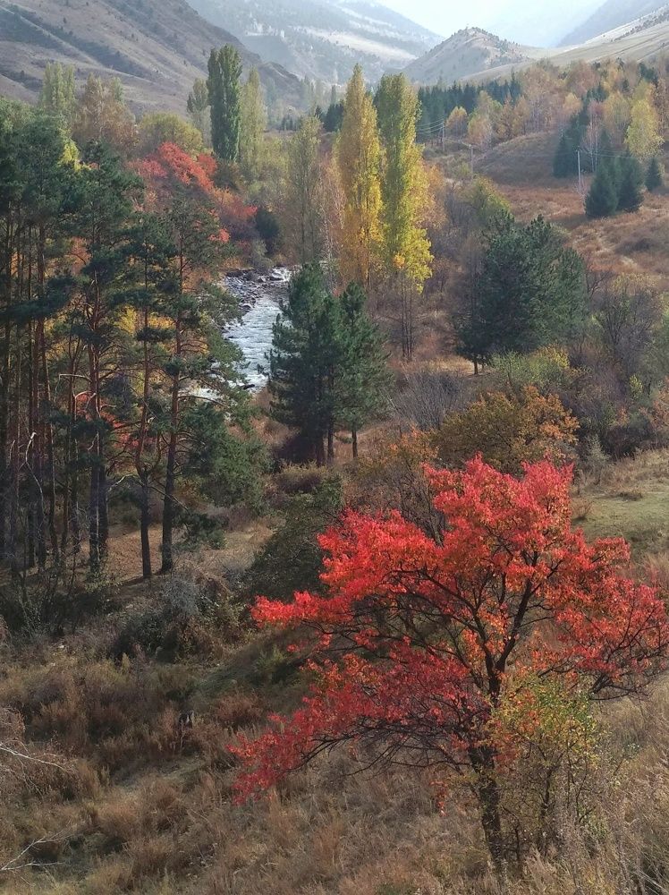 Photograph by Орынбек Асилбаев