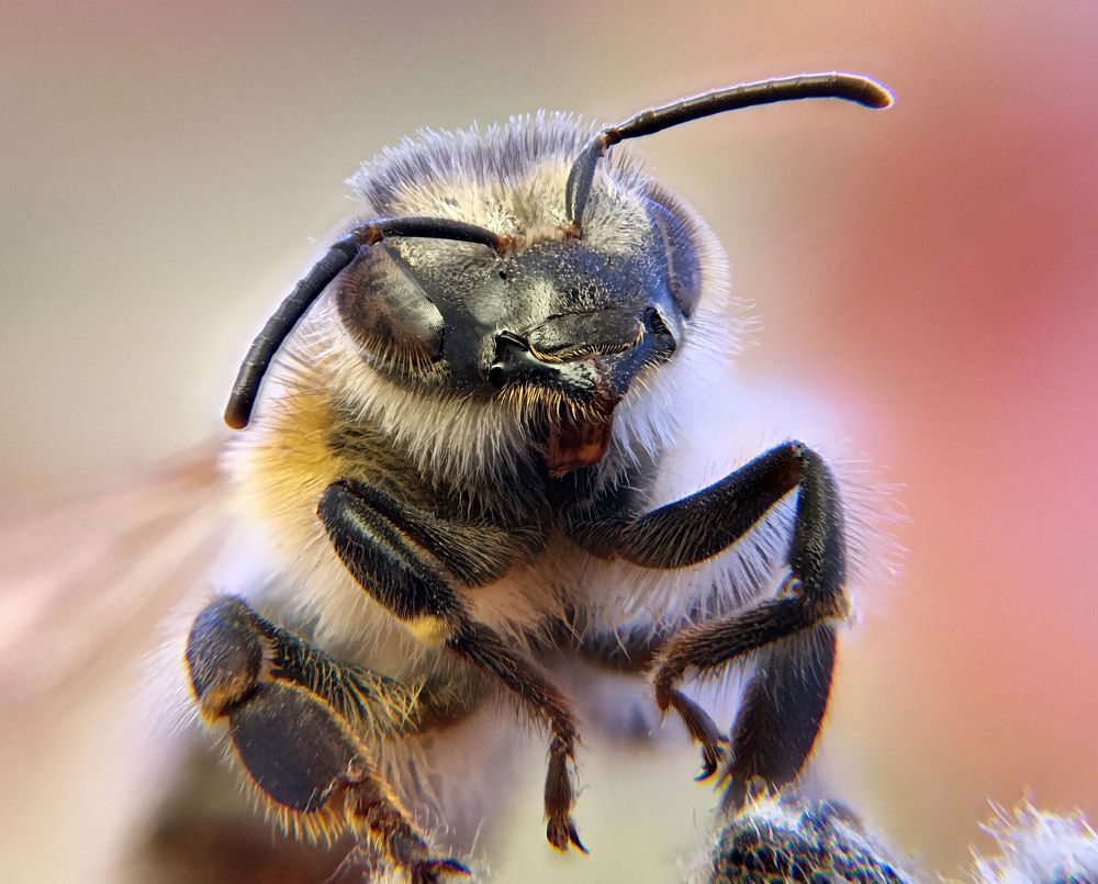 Photograph by Юрьевич Юрий