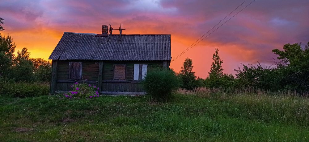 Photograph by Полина Борковская