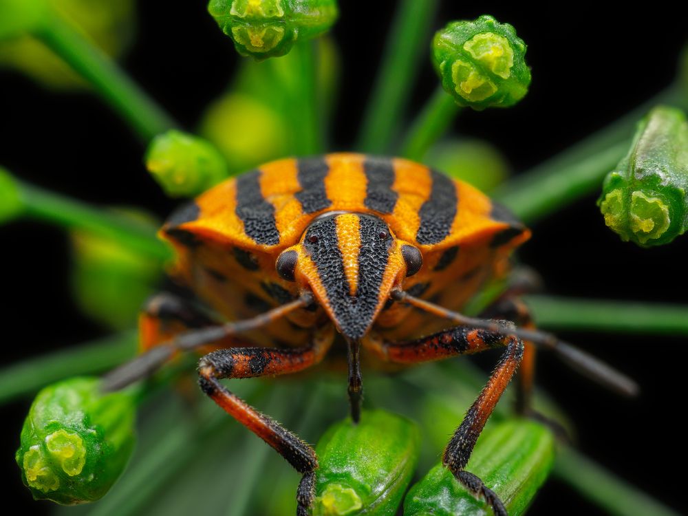 Photograph by Степан Соловьёв