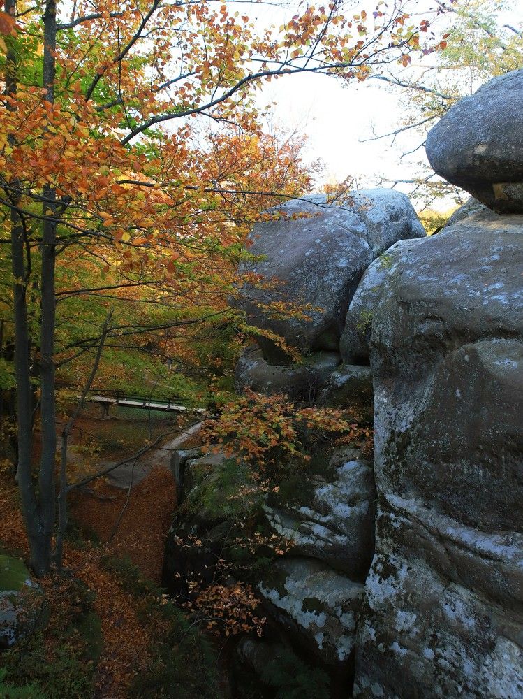 Photograph by Андрей Телибаев