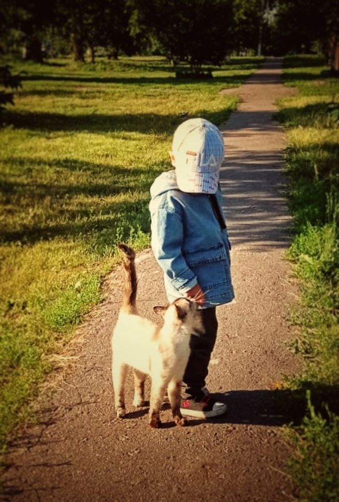 Photograph by Тимофей Ведясов