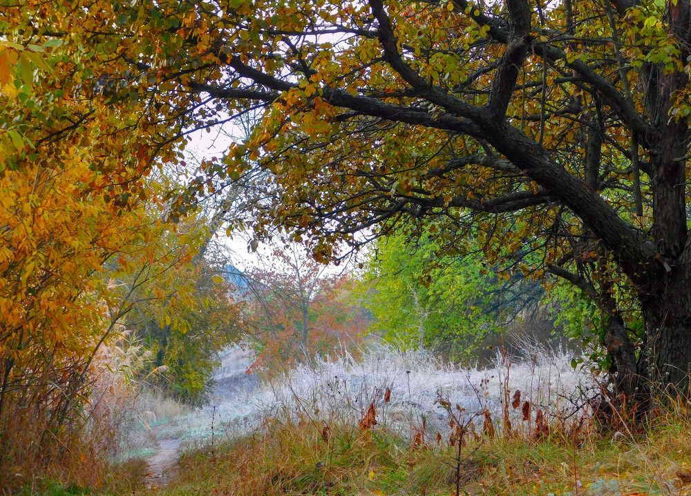 Photograph by Андрей Семенченко