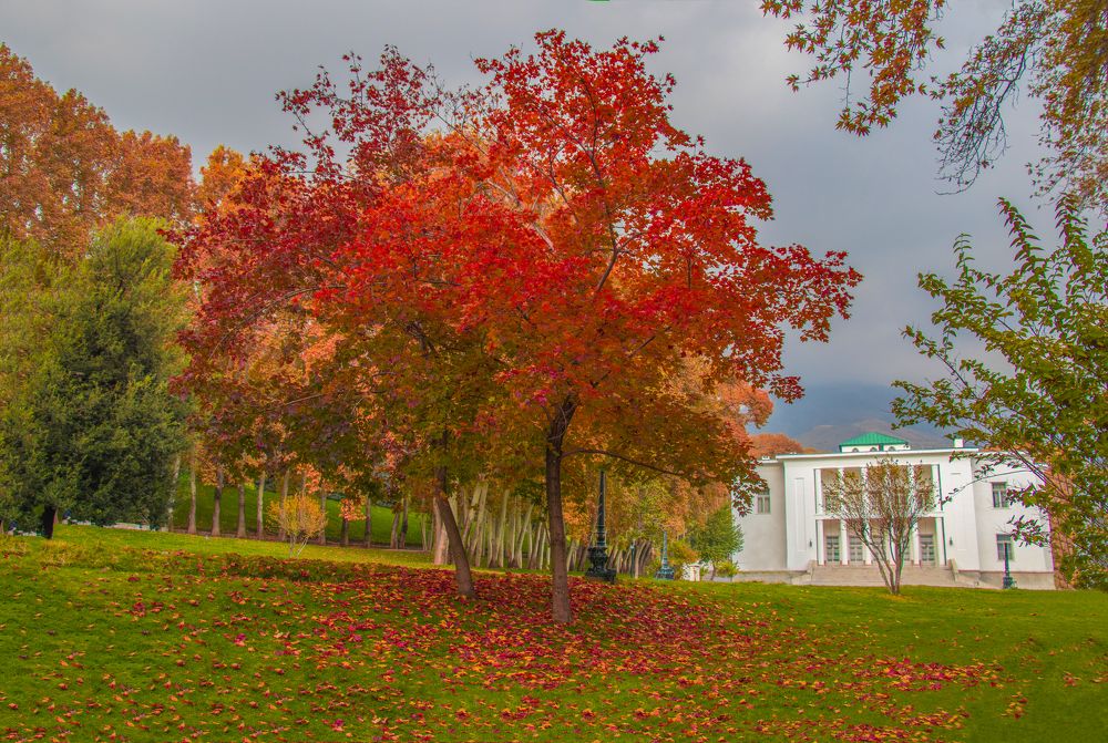 Photograph by shahram jafari