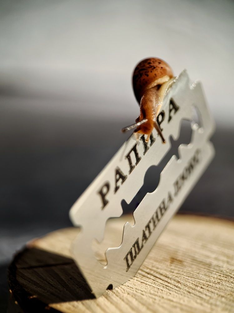 Photograph by Светлана Смирнова