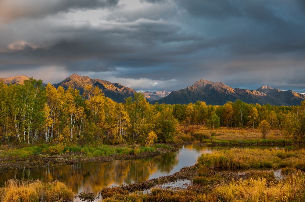 Photograph by Евгений Житников