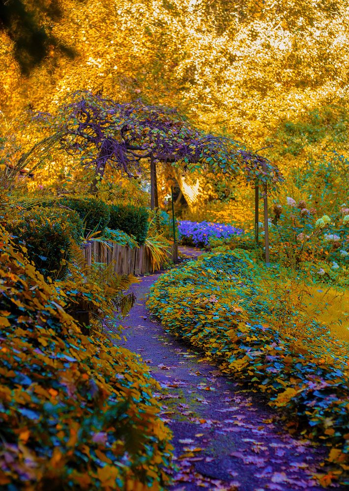 Photograph by Наталья Шалкевич