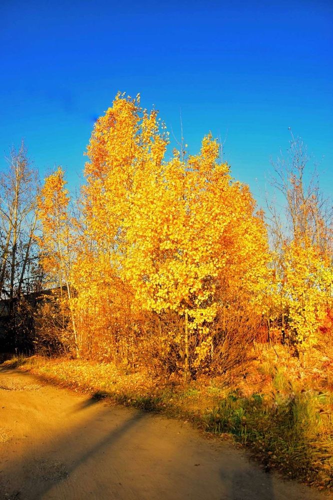 Краски осени