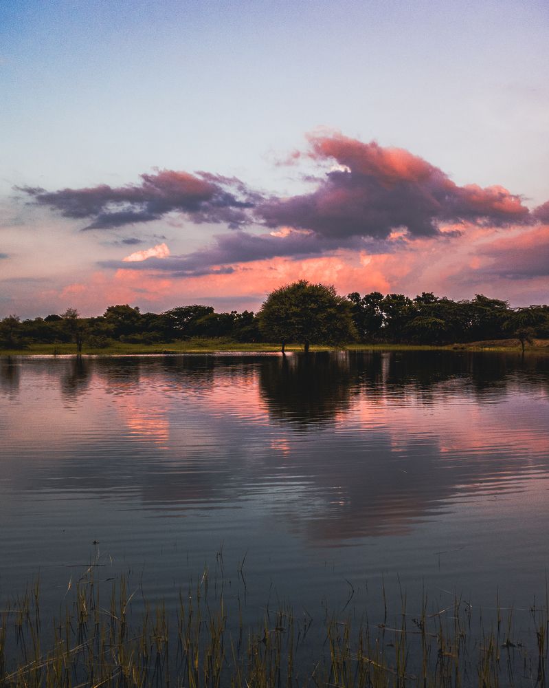 Фотография автора Pankaj Sharma