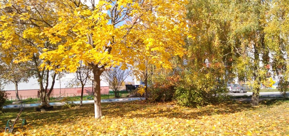 Уборка подождет