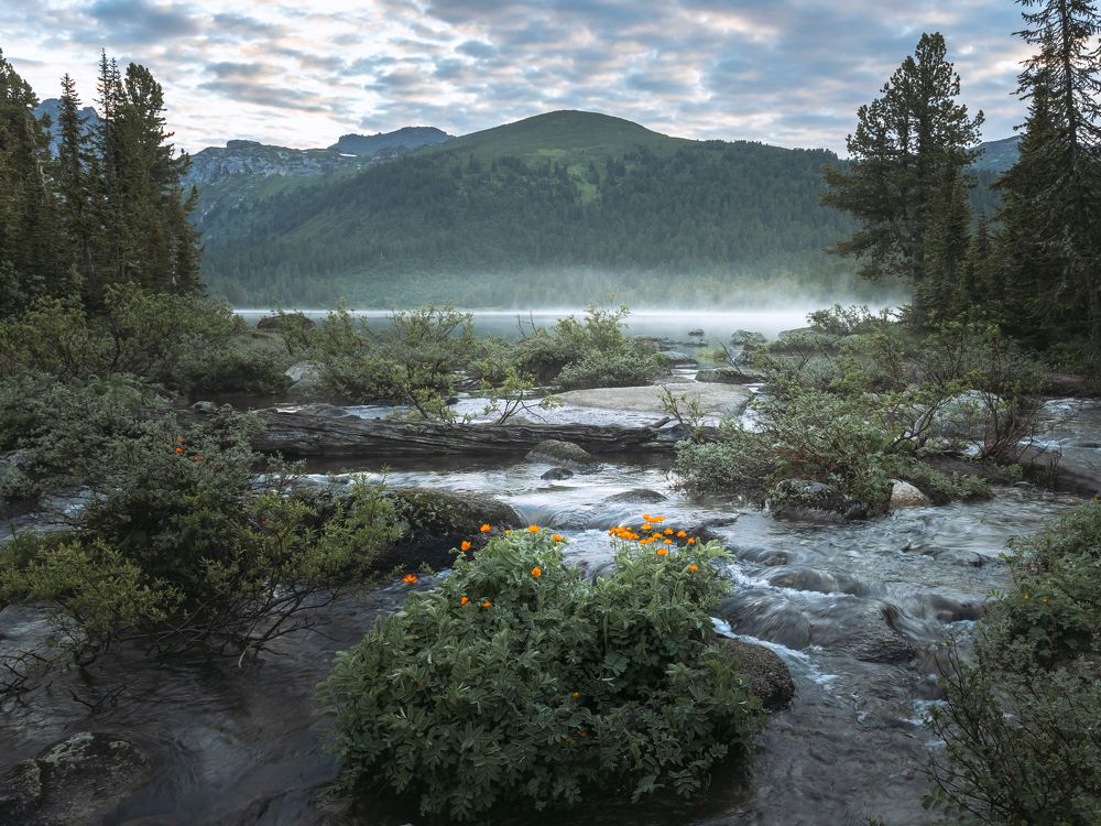 Photograph by Юрий Грамаков