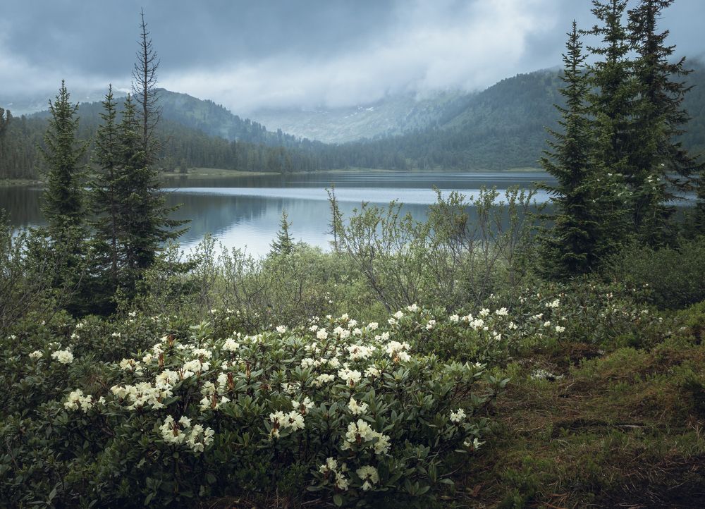 Photograph by Юрий Грамаков