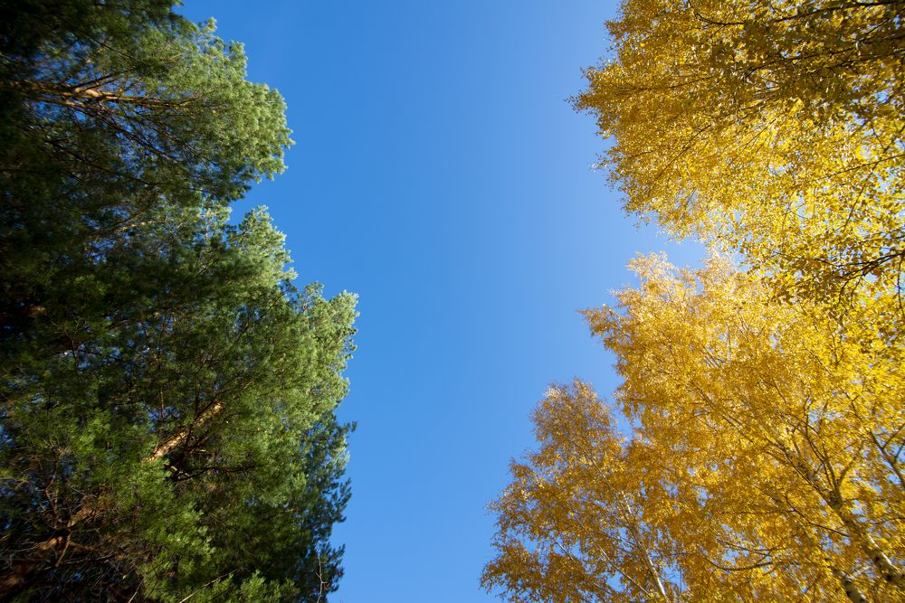 Photograph by Денис Гуляев