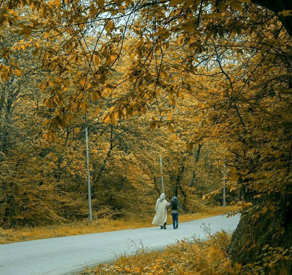 Photograph by Amin Golestanipour