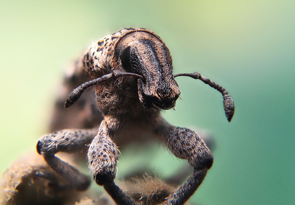 Photograph by Юрьевич Юрий