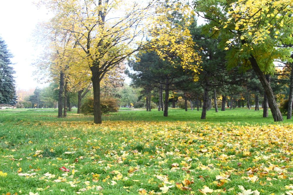 Photograph by Сергей Оплачко