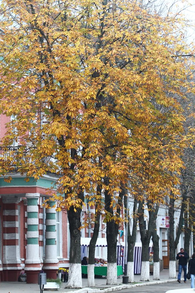 Photograph by Сергей Оплачко