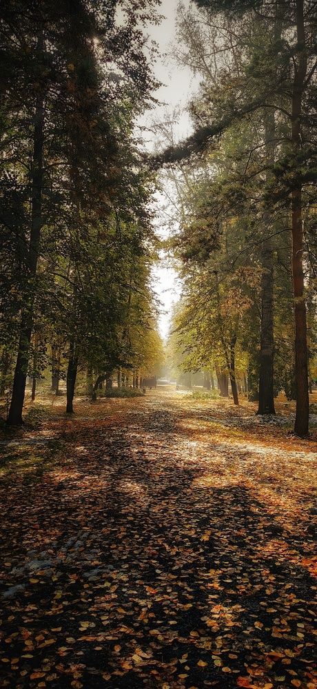 Photograph by Рымаров Александр