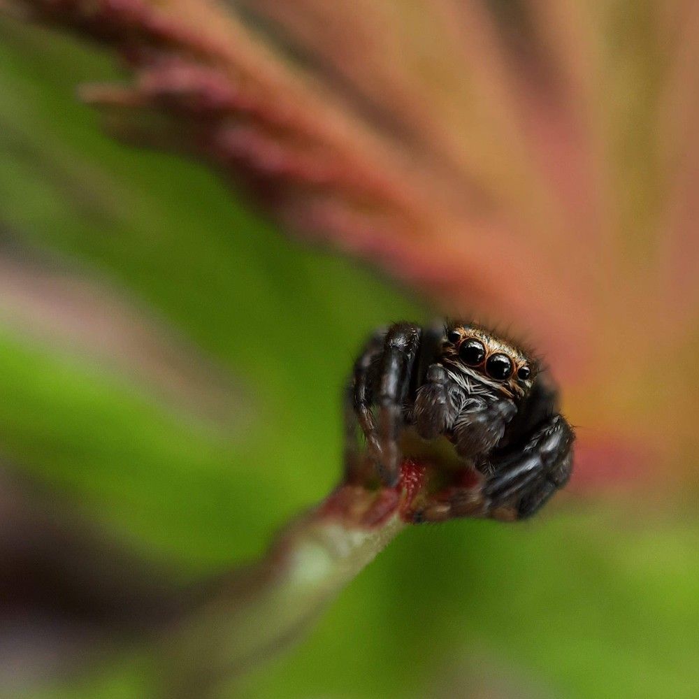 Photograph by Любовь Войтишина