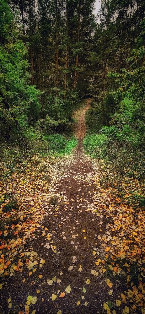 Photograph by Рымаров Александр