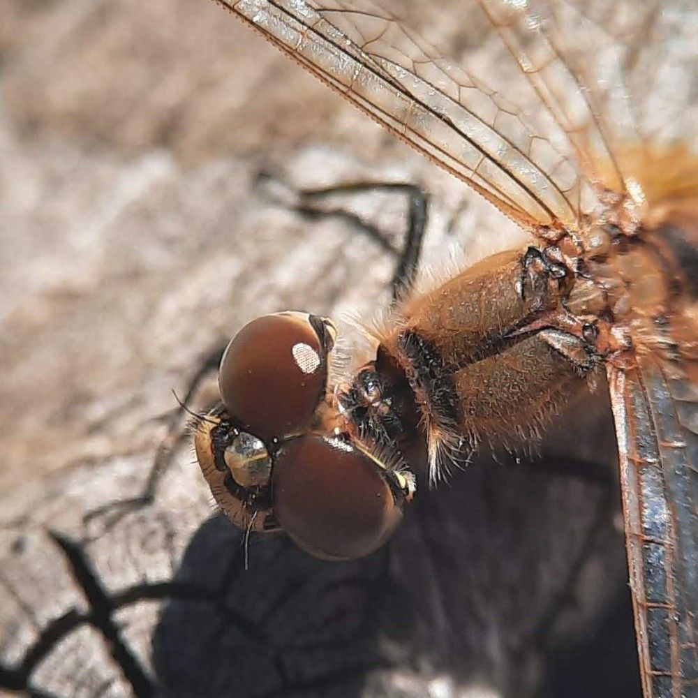 Photograph by Любовь Войтишина