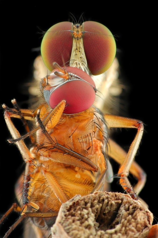 Photograph by Adi rosadi