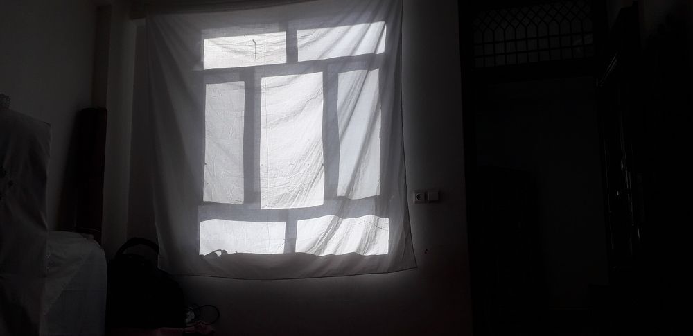 Photo #6586584