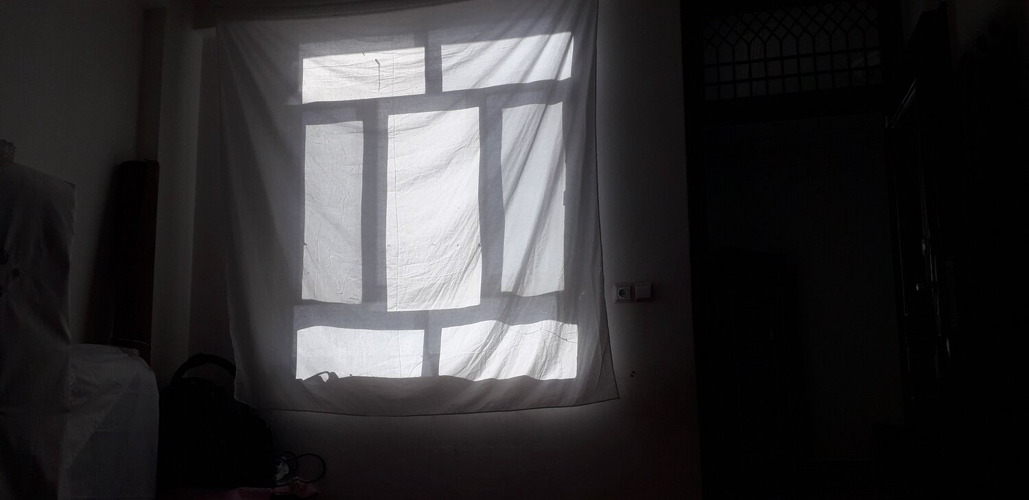 Photo #6586584