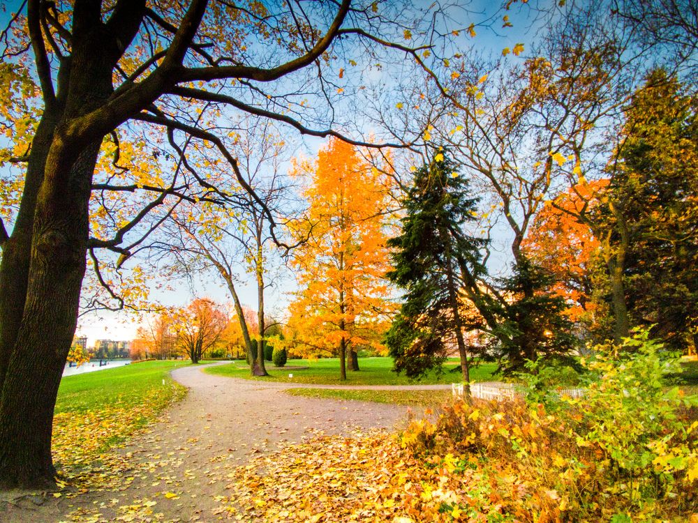 Photograph by Chic.chiquitita