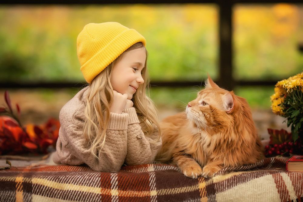 Photograph by Татьяна Гурова