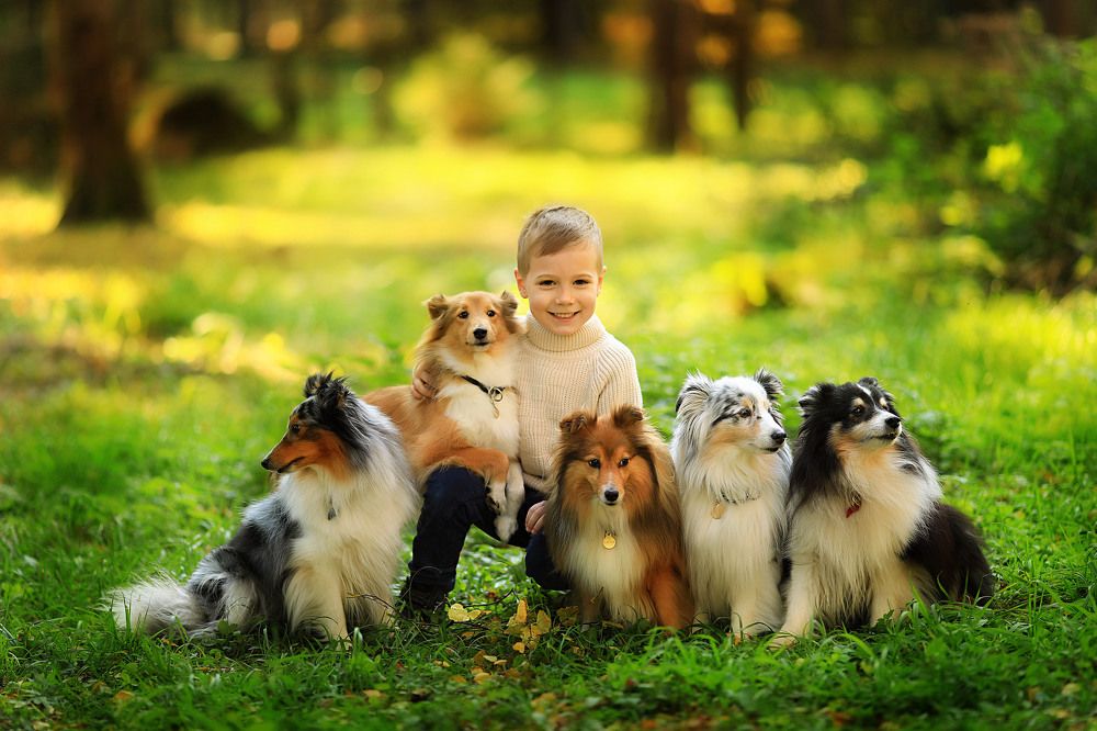 Photograph by Татьяна Гурова