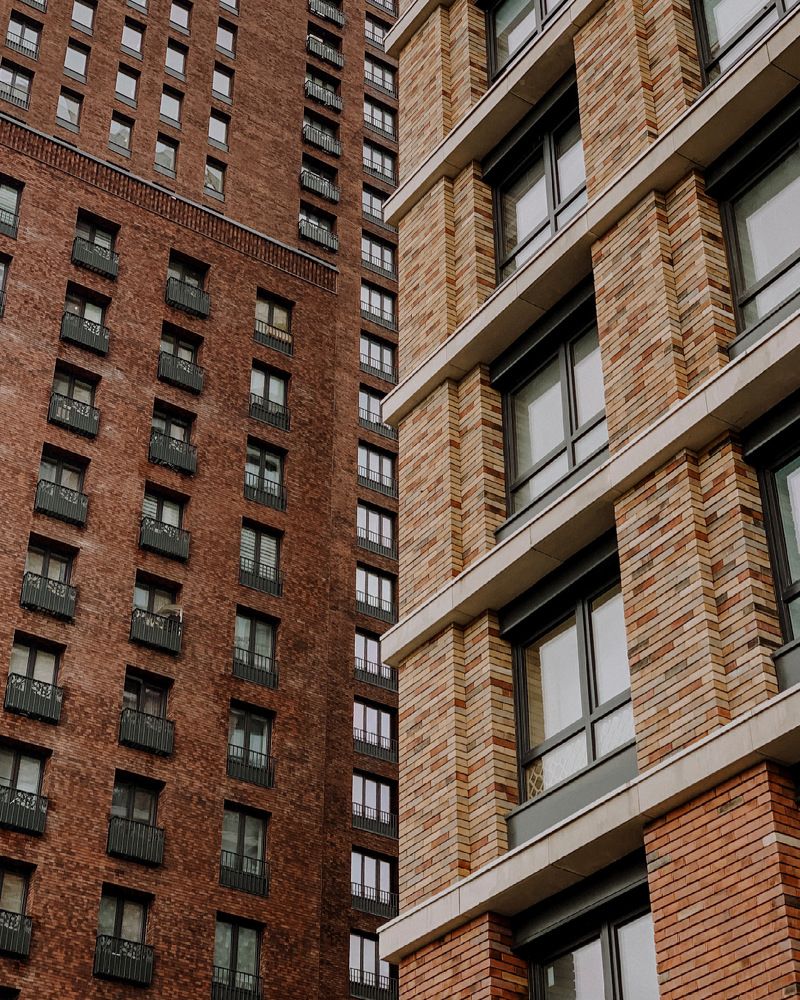 Фотография автора Елена Шилина