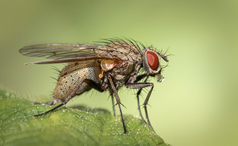 Photograph by Eddie Leach